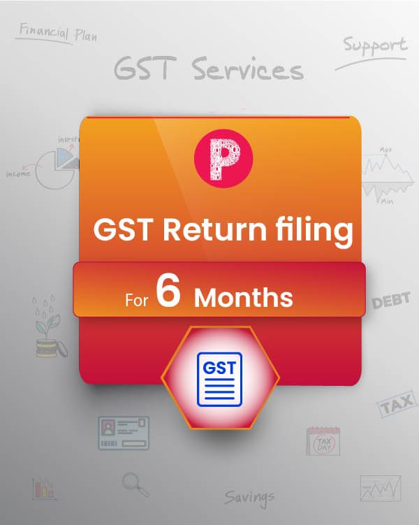 GST Returns Filing (GSTR3B and GSTR1) - 6 Months